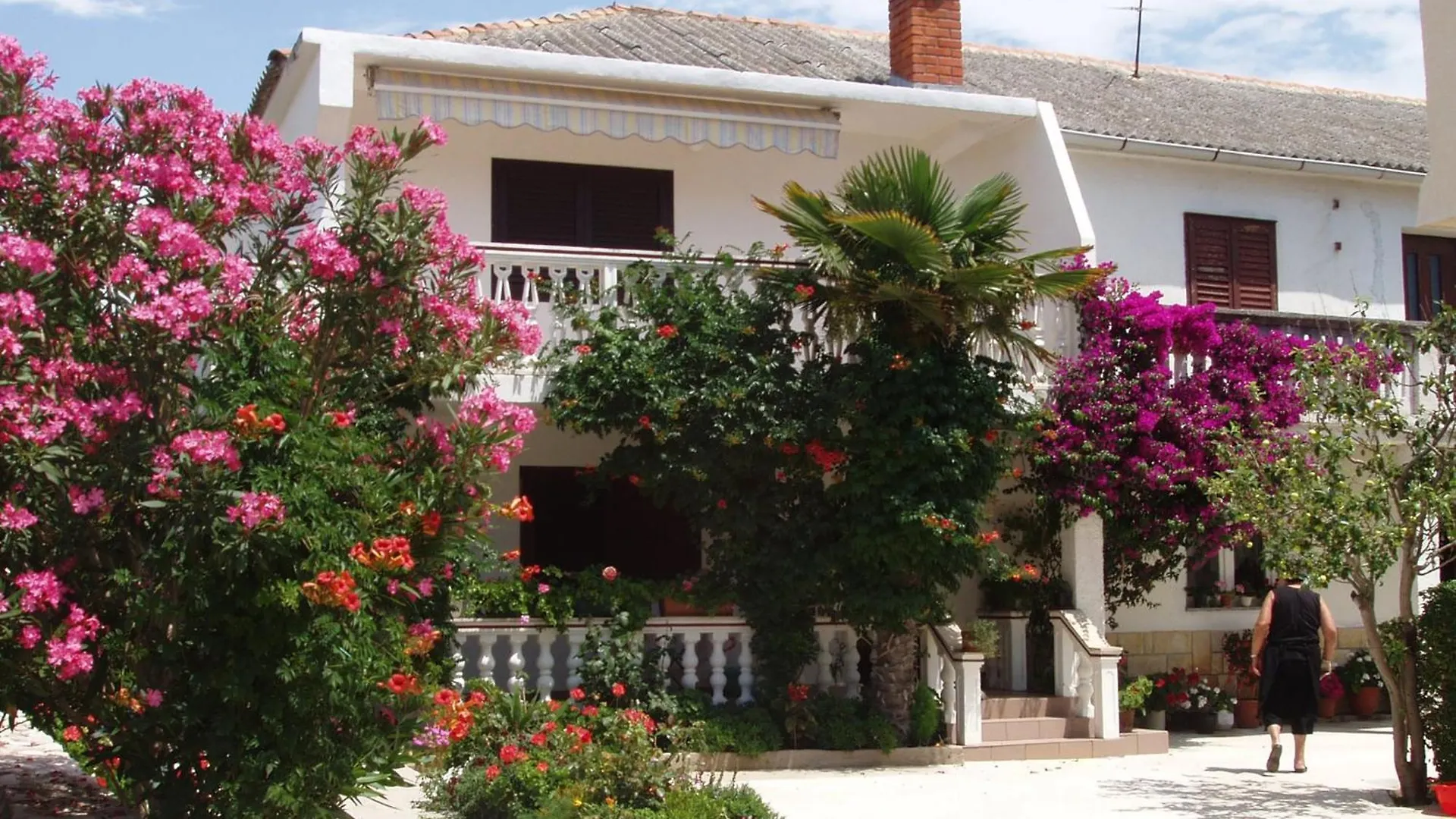 Apartments With A Parking Space Povljana, Pag - 228 contacts