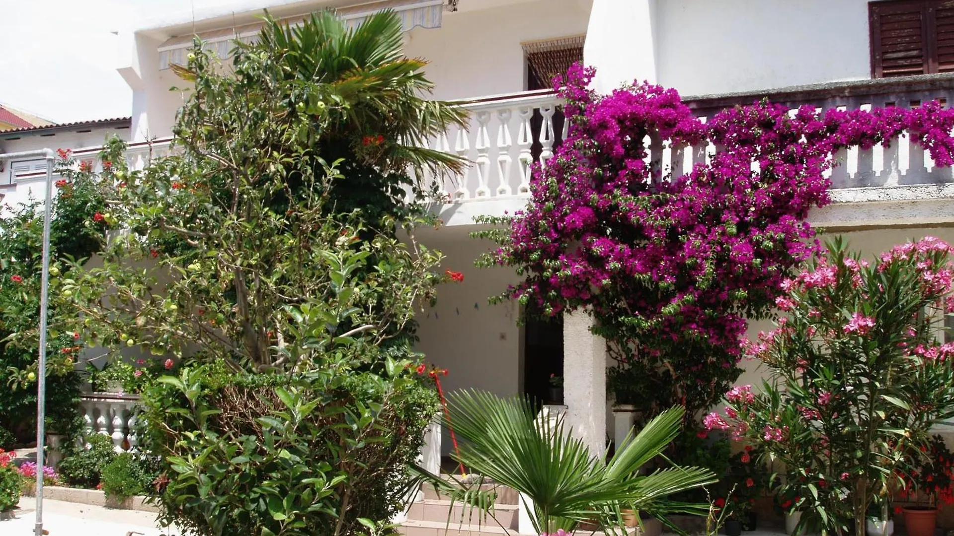 Apartments With A Parking Space Povljana, Pag - 228  Povljana