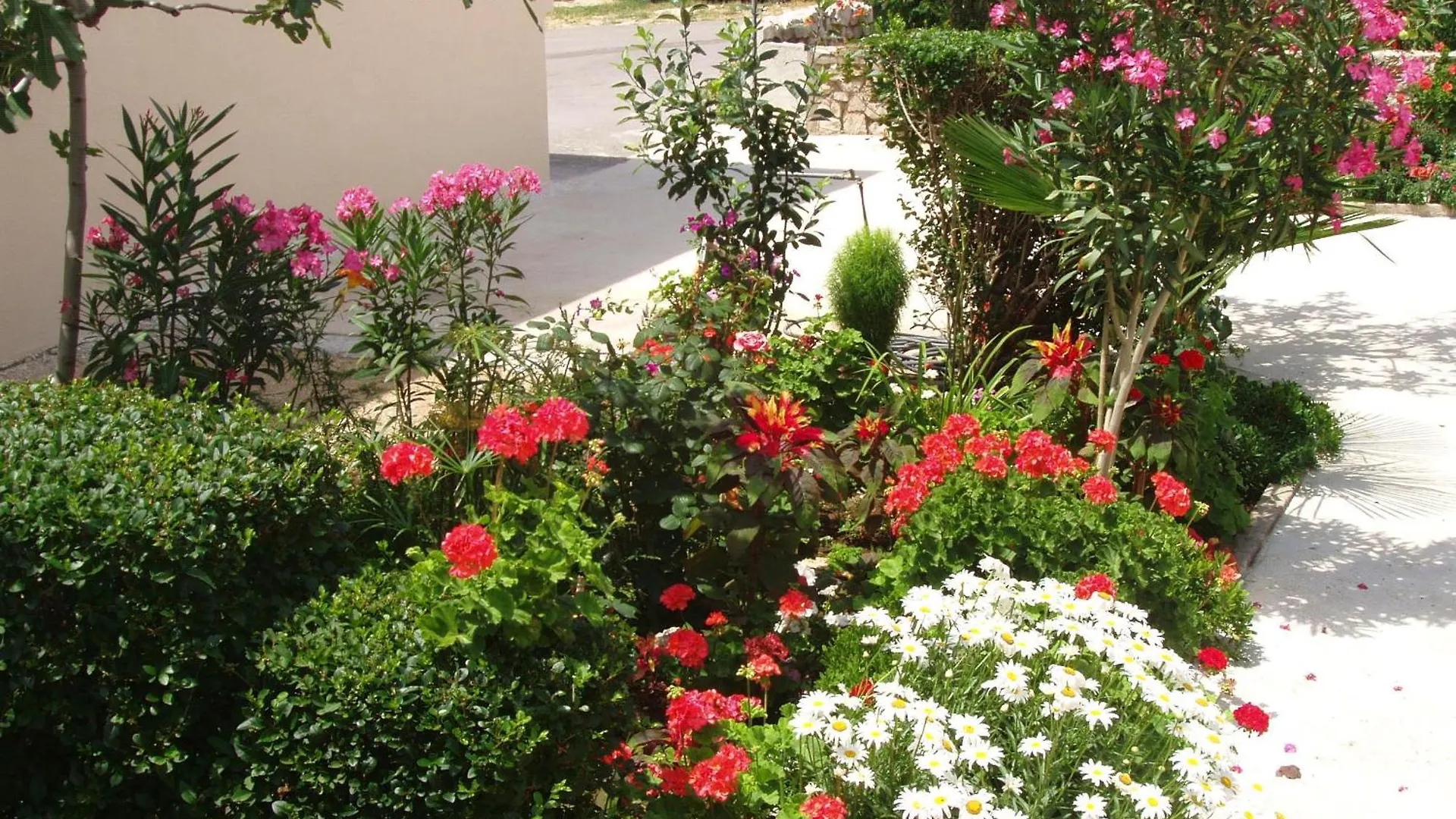 Apartments With A Parking Space Povljana, Pag - 228 0*, Povljana Croatia